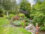 Thumbnail for sale in Falmer Gardens, Woodingdean, Brighton, East Sussex