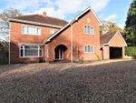 Thumbnail to rent in Westfield Park, Elloughton, Brough