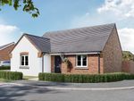 Thumbnail to rent in "The Montague - Plot 117" at Drooper Drive, Stratford-Upon-Avon