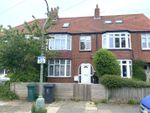 Thumbnail to rent in Hallyburton Road, Hove