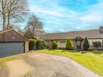 Thumbnail for sale in Beech Way, Wheathampstead, St. Albans