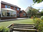 Thumbnail for sale in Montpelier Close, Billericay
