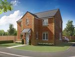 Thumbnail for sale in "Cavan" at Alfreton Road, Sutton-In-Ashfield