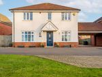 Thumbnail to rent in Forest Grove, Swaffham