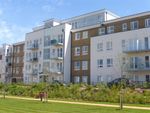Thumbnail to rent in Grebe Way, Maidenhead