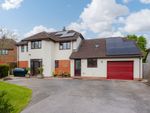 Thumbnail to rent in Yeoford Meadows, Yeoford