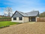 Thumbnail for sale in Wymondham Road, Bunwell, Norwich, Norfolk