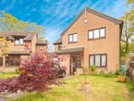 Thumbnail to rent in Tarn Drive, Poole