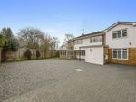 Thumbnail for sale in Butlers Close, Broomfield, Chelmsford