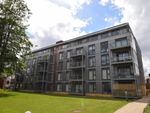 Thumbnail to rent in Newsom Place, St Albans
