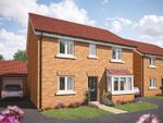 Thumbnail to rent in "Pembroke" at Stoney Haggs Road, Scarborough