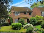Thumbnail for sale in Longlands Way, Camberley