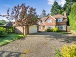 Thumbnail for sale in Oakhill Road, Headley Down, Bordon