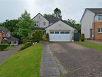Thumbnail for sale in Duncansby Drive, West Craigs, Blantyre