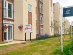Thumbnail to rent in Charlton Green, Dover, Kent