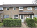 Thumbnail to rent in Lackford Close, Brundall, Norfolk