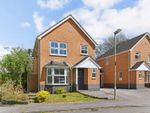 Thumbnail to rent in Orwell Road, Petersfield, Hampshire