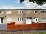 Thumbnail to rent in Guisborough Drive, North Shields