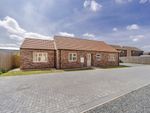 Thumbnail for sale in Plot 3 Holly Close, Off Broadgate, Weston Hills, Spalding, Lincolnshire