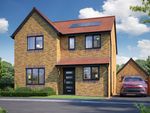 Thumbnail for sale in Primrose Close, Sheffield