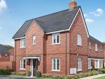 Thumbnail for sale in "Sutton" at Pagnell Court, Wootton, Northampton