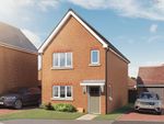 Thumbnail to rent in "The Felter" at Thorley Street, Thorley, Bishop's Stortford