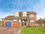 Thumbnail for sale in Castle Meadow, Sible Hedingham, Halstead