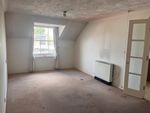 Thumbnail to rent in Stockbridge Road, Chichester, West Sussex