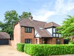 Thumbnail for sale in Napier Drive, Camberley, Surrey