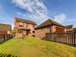 Thumbnail to rent in Priory Lea, Walford, Ross-On-Wye, Herefordshire