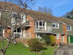 Thumbnail for sale in White Hill Drive, Bexhill On Sea