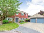 Thumbnail for sale in Marjoram Close, Farnborough, Hampshire