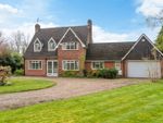 Thumbnail to rent in Earlswood Common, Earlswood, Solihull