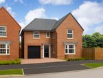Thumbnail to rent in "Drummond" at Lodgeside Meadow, Sunderland