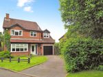 Thumbnail for sale in Crooked Hays Close, Marchwood, Southampton, Hampshire