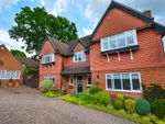 Thumbnail for sale in Orchard Way, Sedlescombe, Battle