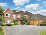 Thumbnail for sale in Ledborough Wood, Beaconsfield