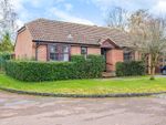 Thumbnail to rent in Weston Lea, West Horsley, Leatherhead