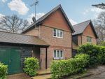 Thumbnail to rent in Haslemere, Surrey