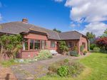 Thumbnail for sale in Harpersfield, Kings Caple, Hereford, Herefordshire