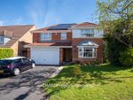 Thumbnail to rent in Ribbledale Close, Mansfield