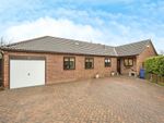 Thumbnail for sale in Plumpton Gardens, Bessacarr, Doncaster