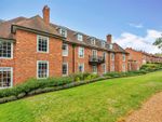 Thumbnail to rent in Midhurst, West Sussex