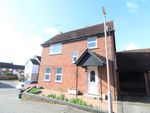 Thumbnail to rent in Gentian Court, Colchester