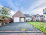 Thumbnail for sale in Hazelwood Grove, Worksop