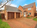 Thumbnail for sale in Ilex Close, Hampton Hargate, Peterborough