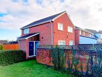 Thumbnail to rent in Owl End Walk, Yaxley, Peterborough