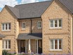 Thumbnail to rent in "Cypress" at Field End, Witchford, Ely