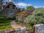 Thumbnail for sale in Chithurst Lane, Trotton, Petersfield, West Sussex