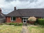 Thumbnail to rent in Green Close, Sturminster Newton